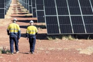 Two men in navy and yellow high vis clothing walking towards some solar panels at Dugald River Solar Farm