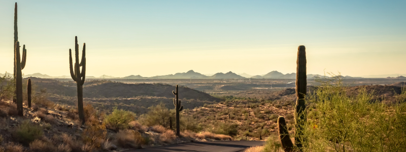 Arizona Desert