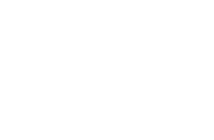 Evolution Mining logo