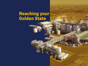 Porcess Variability and Golden State